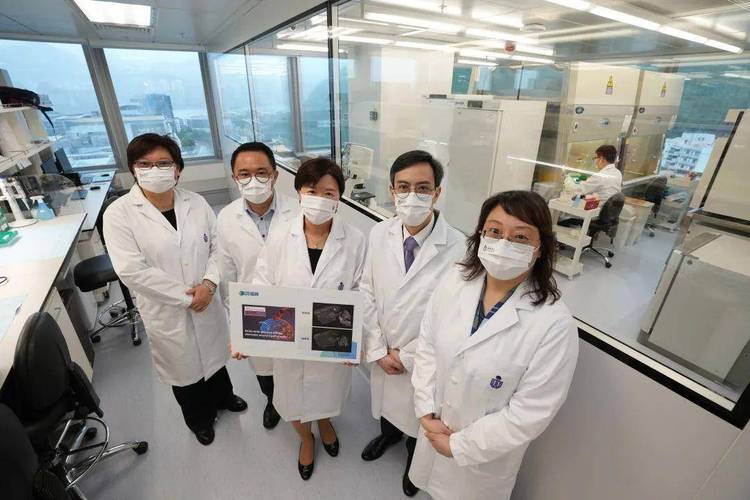微创脑科学(02172.HK)：常兆华获委任为非执行董事及主席