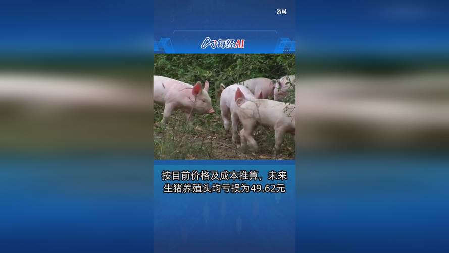 生猪价格持续走低 行业龙头看好明年下半年行情
