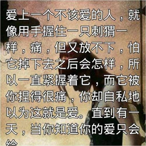 不该爱的人-爱了一个不该爱的人