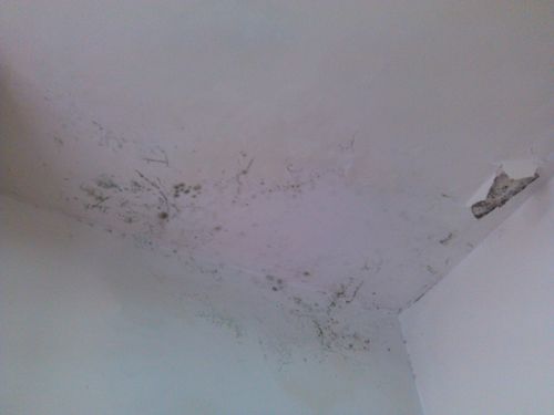 房屋漏水怎么办-顶层房屋漏水怎么办