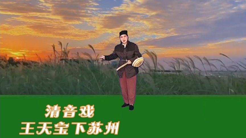 王天宝下苏州什么戏曲-王天宝下苏州讲的是什么