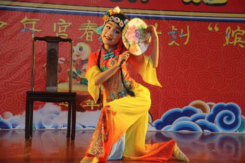 瓯海区有什么戏曲-瓯海文化