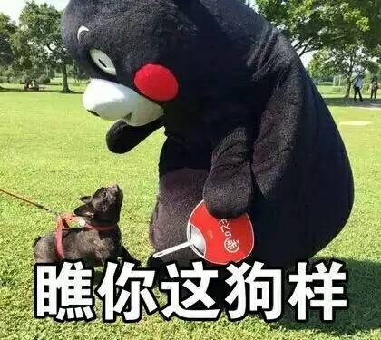你这个狗官是什么戏曲-你这个狗叼表情包